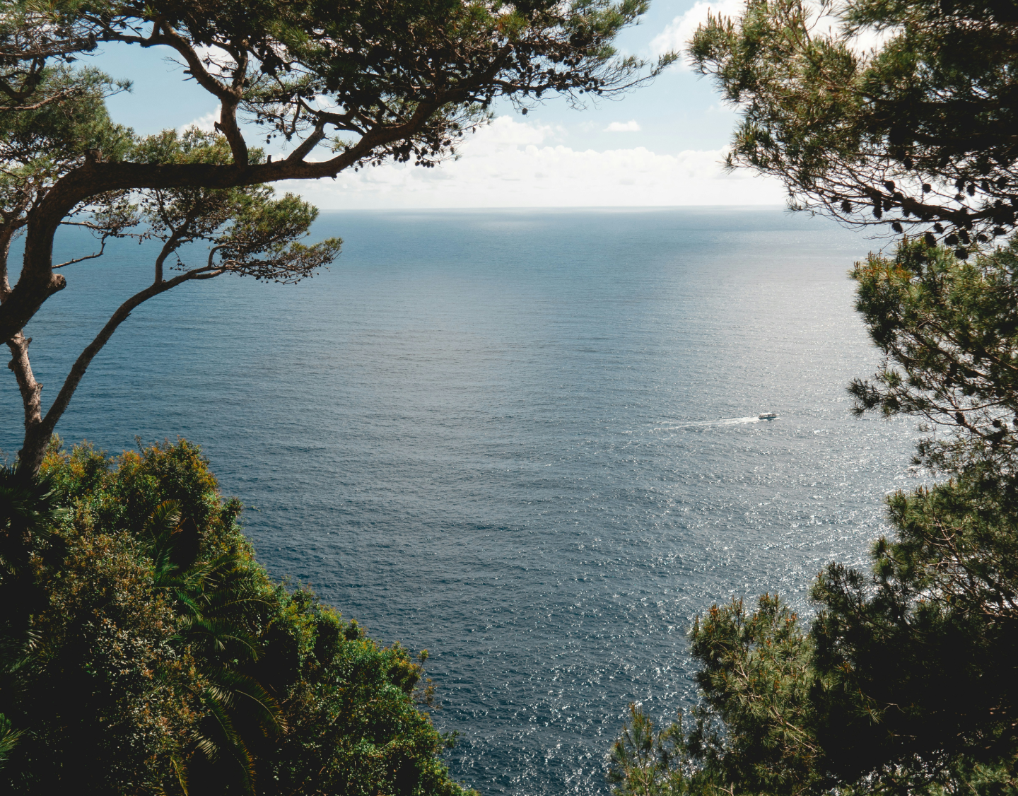 Charter - View through coastal greenery of a luxury yacht cruising on pristine waters, showcasing Swisspath Yachting’s exclusive charter experiences